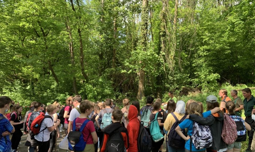 Waldtag im Jg. 6: „Team Hawaii“ holt sich die Hirschstange